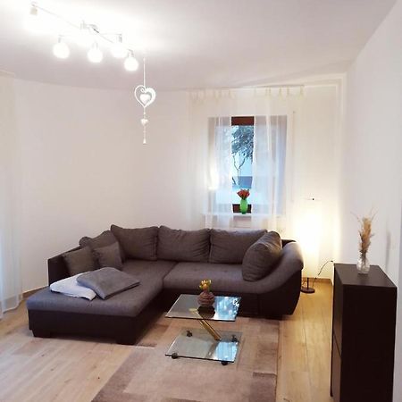 Ebenerdige Ferienwohnung Mit Grosser Terrasse In Der Naehe Des Waldes, Zum Wohlfuehlen Schoneck Extérieur photo