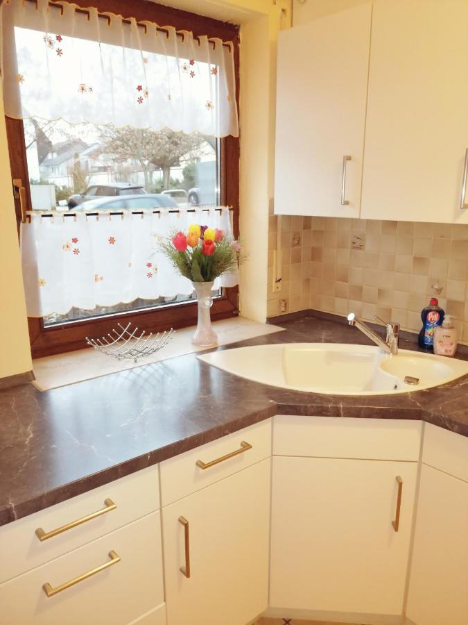 Ebenerdige Ferienwohnung Mit Grosser Terrasse In Der Naehe Des Waldes, Zum Wohlfuehlen Schoneck Extérieur photo